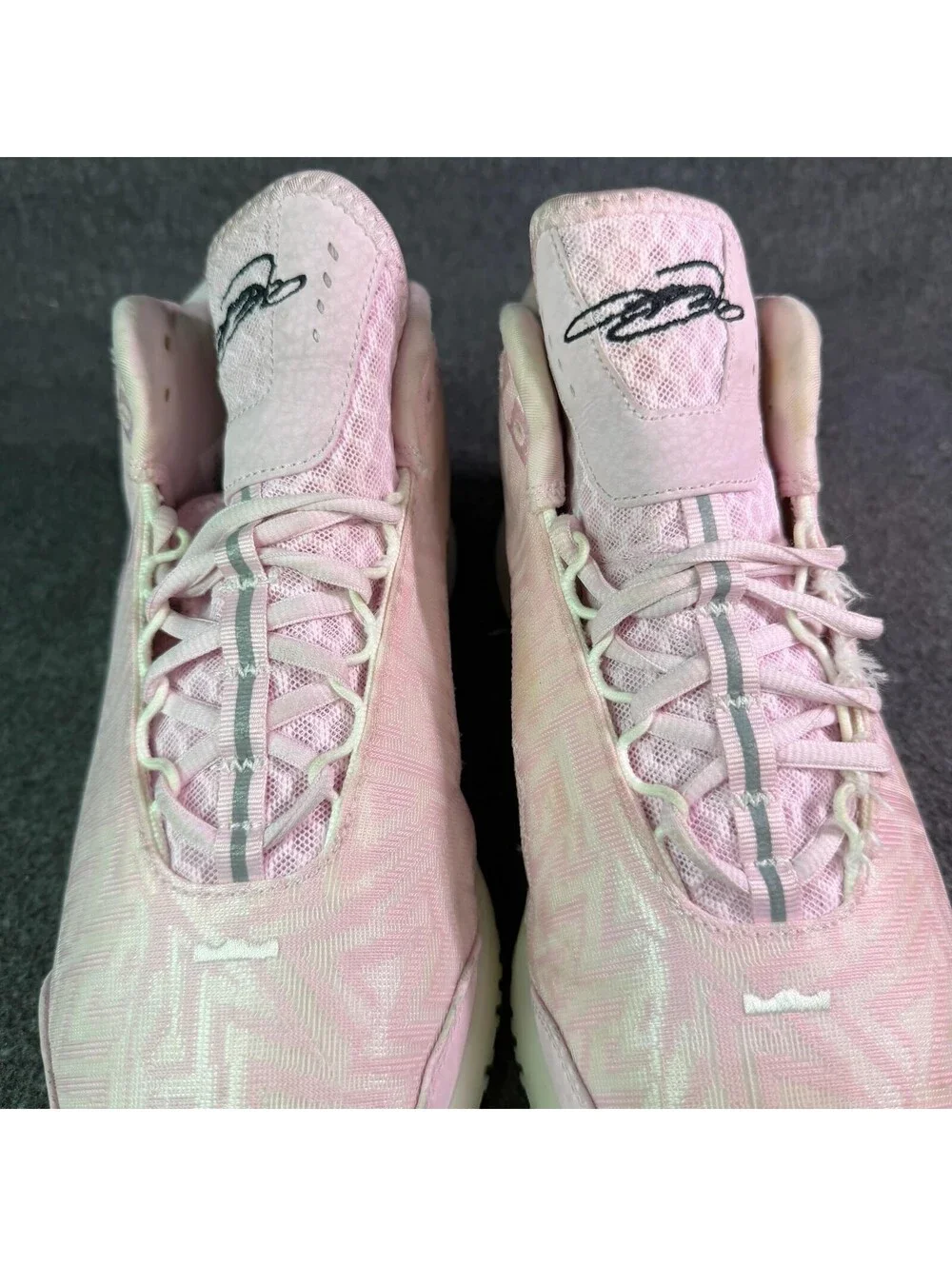 Nike lebron shoes